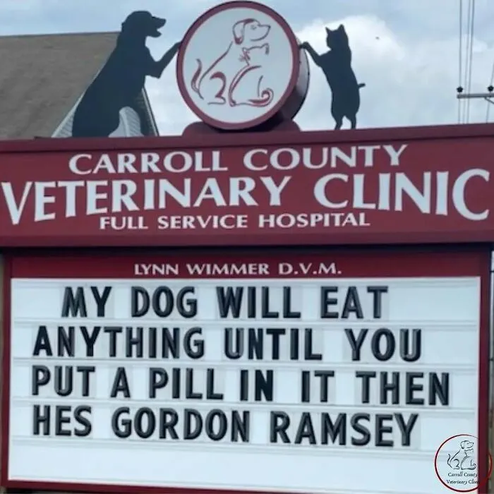 20 Divertidos carteles frente a esta clínica veterinaria que te harán sonreír