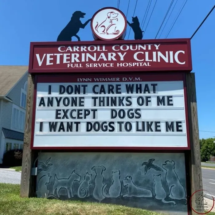 20 Divertidos carteles frente a esta clínica veterinaria que te harán sonreír