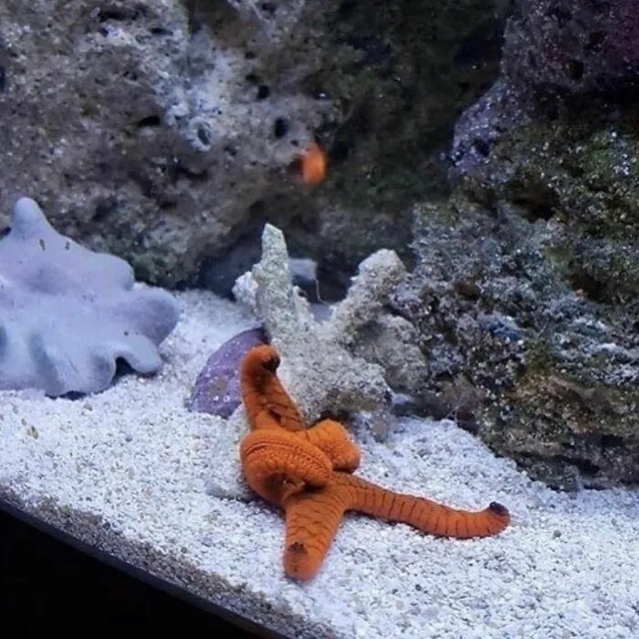 50 Photos Of Animals Just Living Their Best Life, As Shared On This Instagram Page