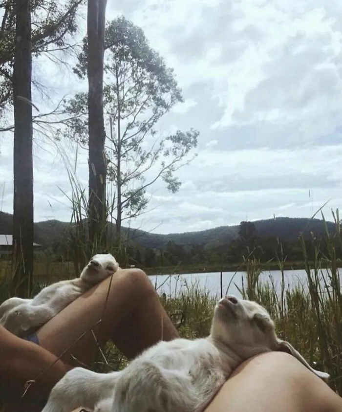 50 Photos Of Animals Just Living Their Best Life, As Shared On This Instagram Page