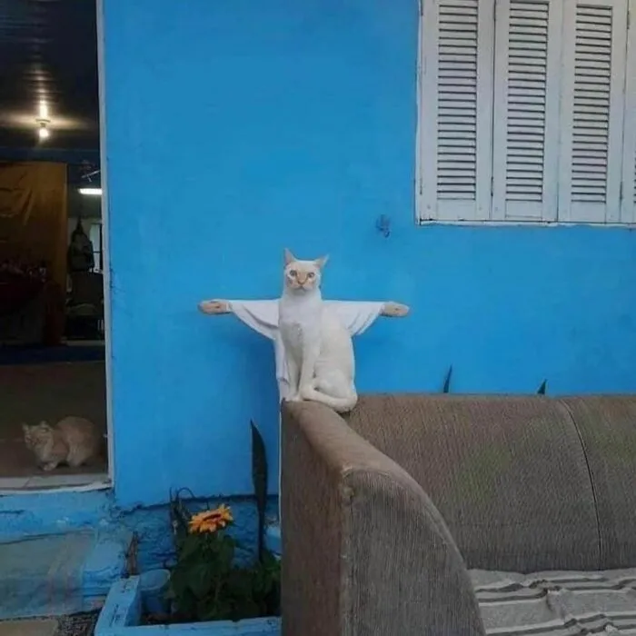 50 Photos Of Animals Just Living Their Best Life, As Shared On This Instagram Page