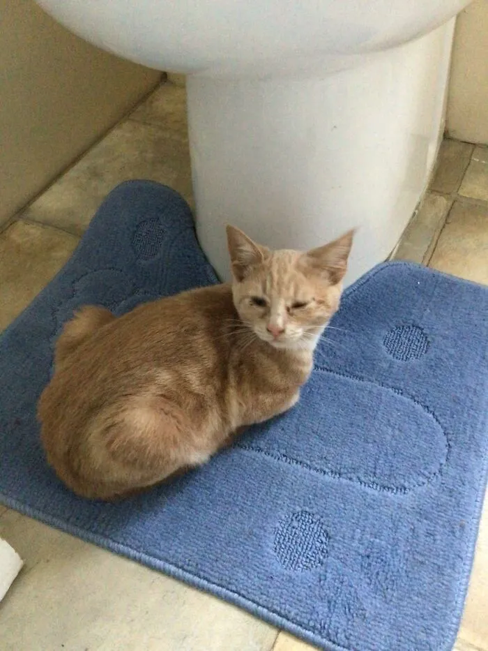 My Loaf