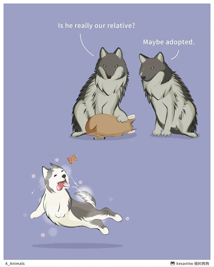 40 Funny And Cute Comics That Show What Animals Would Do If They Were Human By Kesanitw