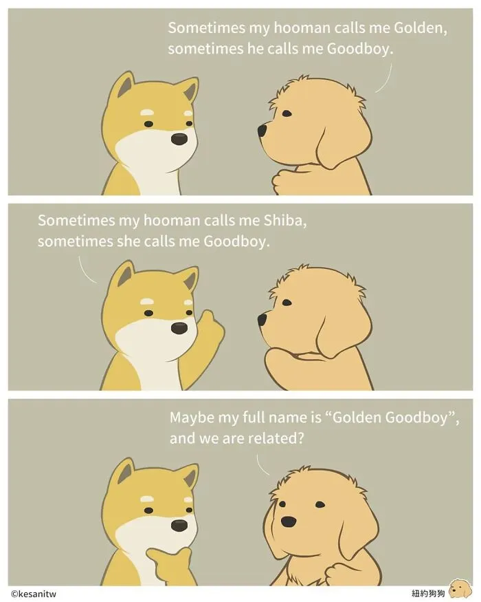 40 Funny And Cute Comics That Show What Animals Would Do If They Were Human By Kesanitw