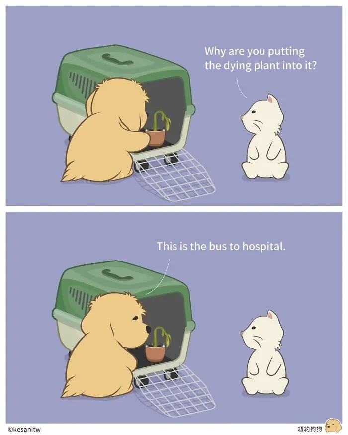 40 Funny And Cute Comics That Show What Animals Would Do If They Were Human By Kesanitw
