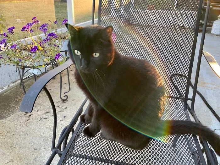 Shadow Flare