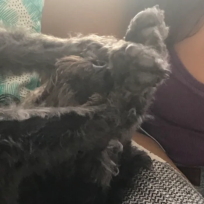 Widget After Waking Up