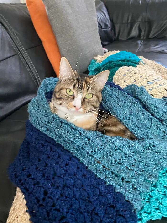 She Loves This Blanket