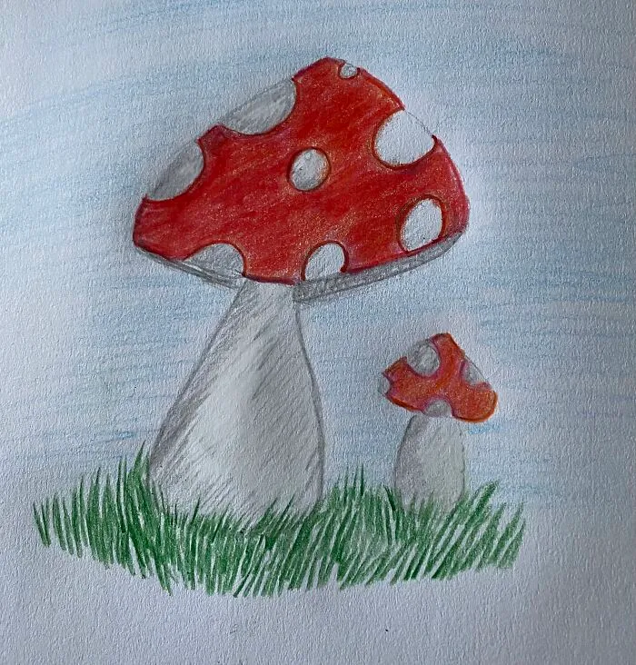 Mushies!