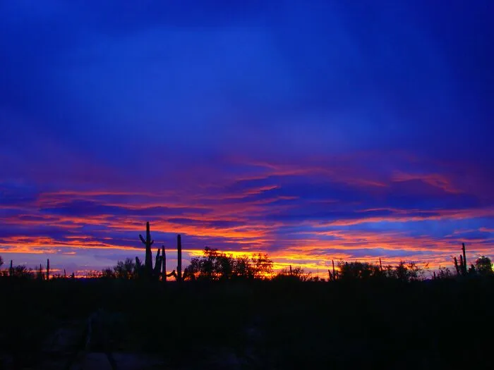Intense Arizona Sunset