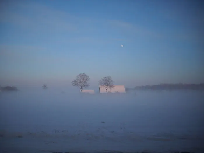 It Snowed! (A Few Years Back)