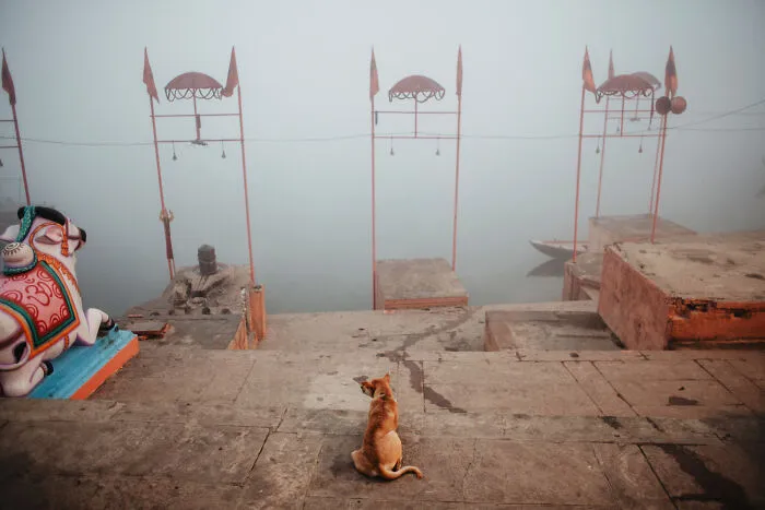 Photographer Captures The Daily Life Of People In India (35 Pics)