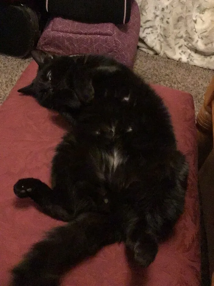 It’s A Trap
