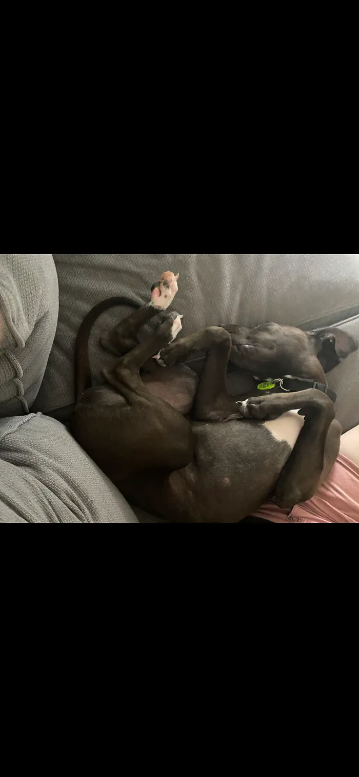 My Sleepy Boy!