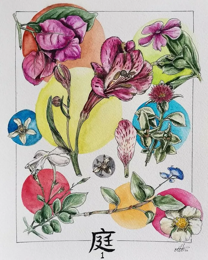 Flowers From My Garden. Watercolour And Ink.