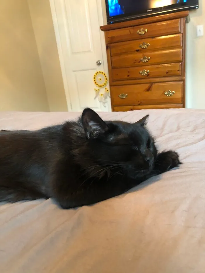 Snoozin’
