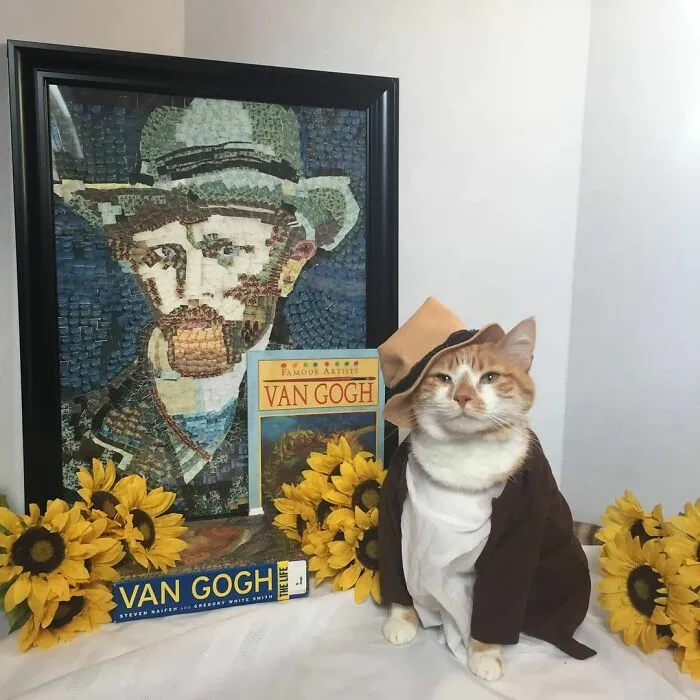 This Library Attracts The Public By Dressing Up One Librarian's Cat As Literary And Movie Icons (100 Pics)