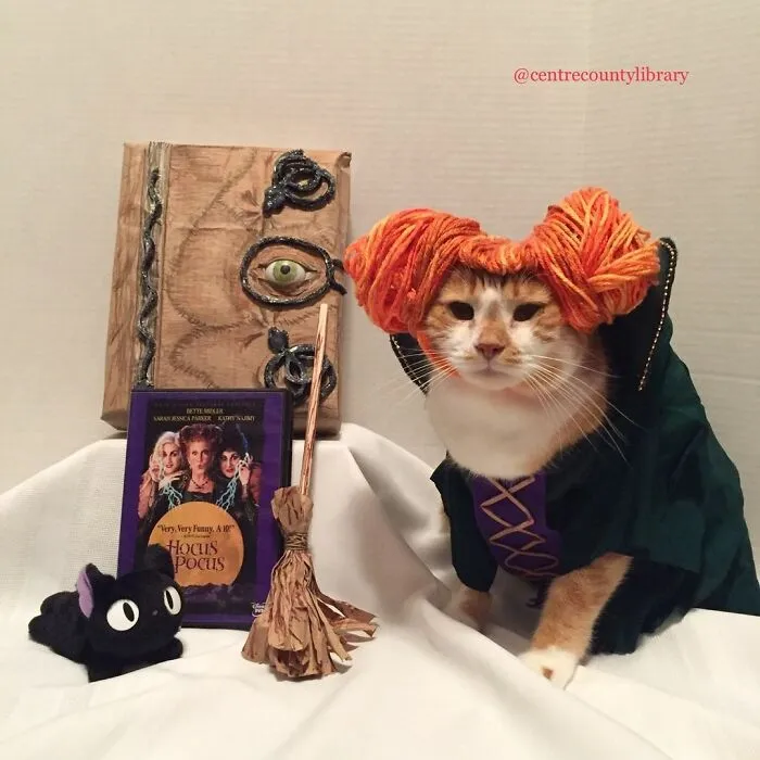 This Library Attracts The Public By Dressing Up One Librarian's Cat As Literary And Movie Icons (100 Pics)