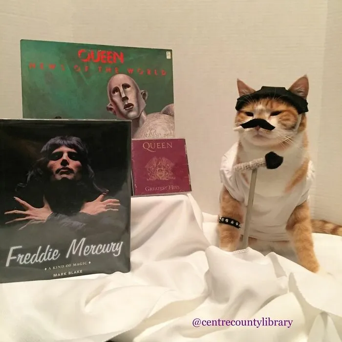 This Library Attracts The Public By Dressing Up One Librarian's Cat As Literary And Movie Icons (100 Pics)