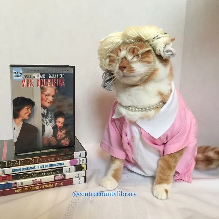 This Library Attracts The Public By Dressing Up One Librarian's Cat As Literary And Movie Icons (100 Pics)