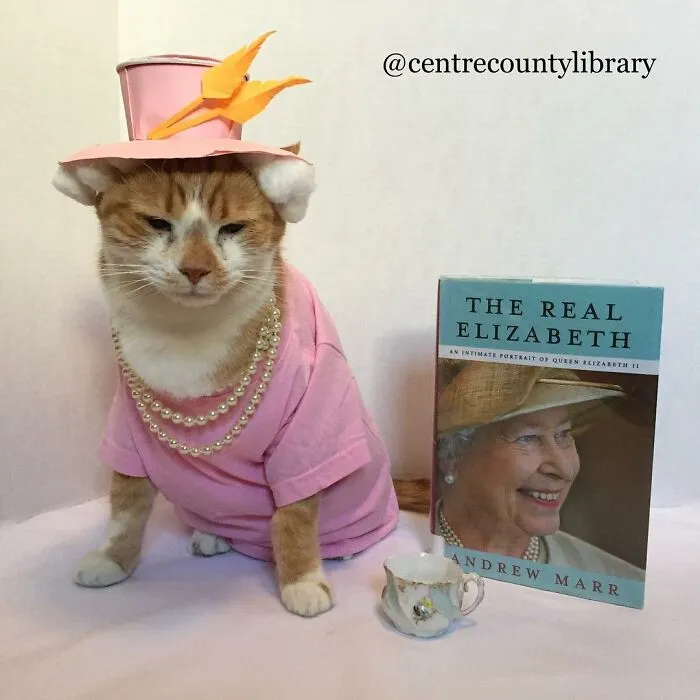 This Library Attracts The Public By Dressing Up One Librarian's Cat As Literary And Movie Icons (100 Pics)