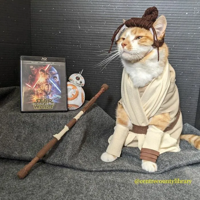 This Library Attracts The Public By Dressing Up One Librarian's Cat As Literary And Movie Icons (100 Pics)