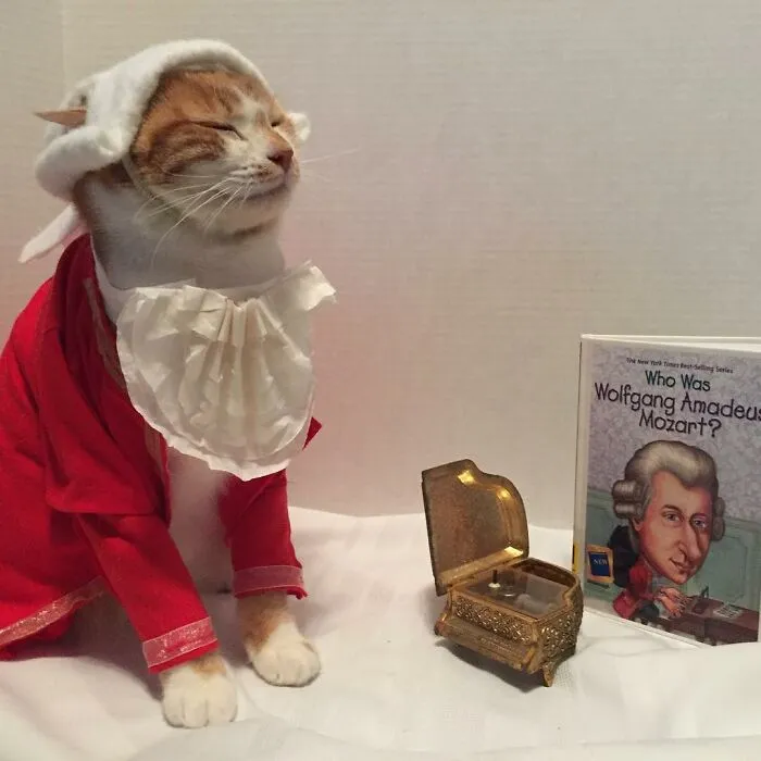 This Library Attracts The Public By Dressing Up One Librarian's Cat As Literary And Movie Icons (100 Pics)