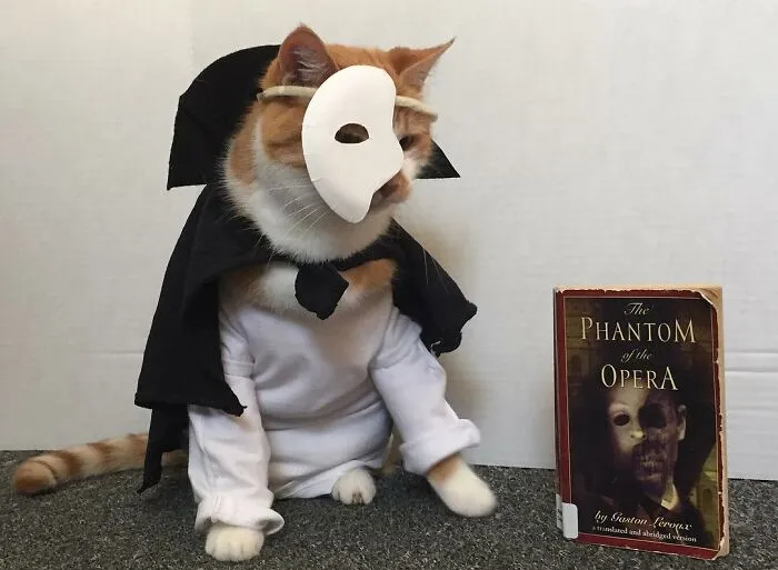 This Library Attracts The Public By Dressing Up One Librarian's Cat As Literary And Movie Icons (100 Pics)