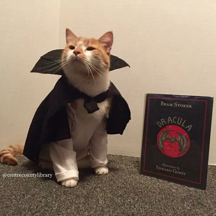 This Library Attracts The Public By Dressing Up One Librarian's Cat As Literary And Movie Icons (100 Pics)