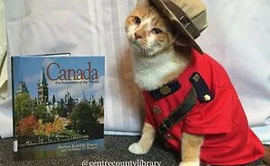 This Library Attracts The Public By Dressing Up One Librarian's Cat As Literary And Movie Icons (100 Pics)