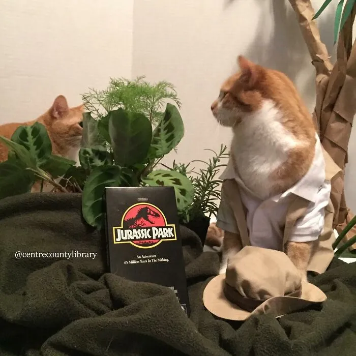 This Library Attracts The Public By Dressing Up One Librarian's Cat As Literary And Movie Icons (100 Pics)
