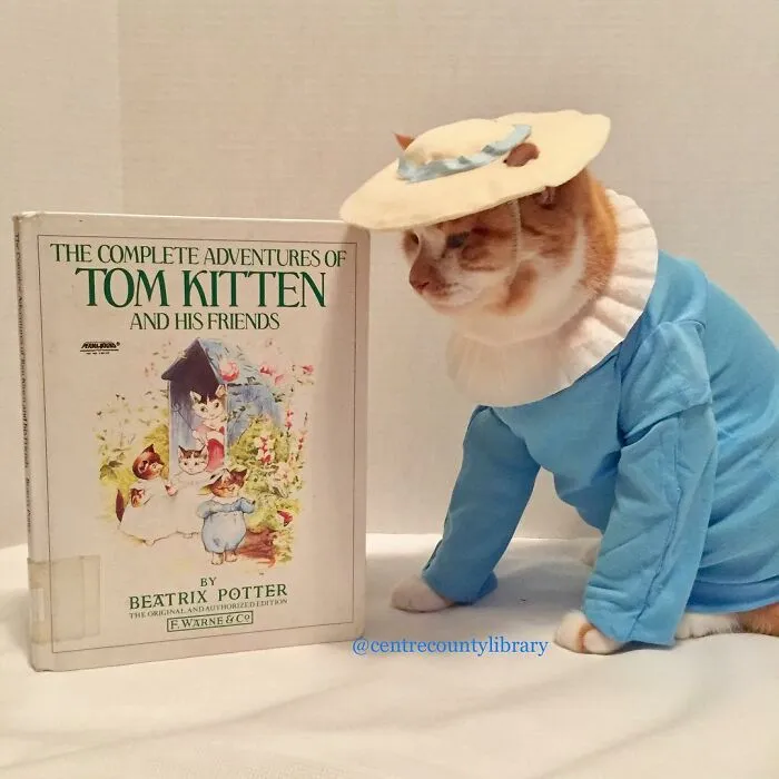 This Library Attracts The Public By Dressing Up One Librarian's Cat As Literary And Movie Icons (100 Pics)
