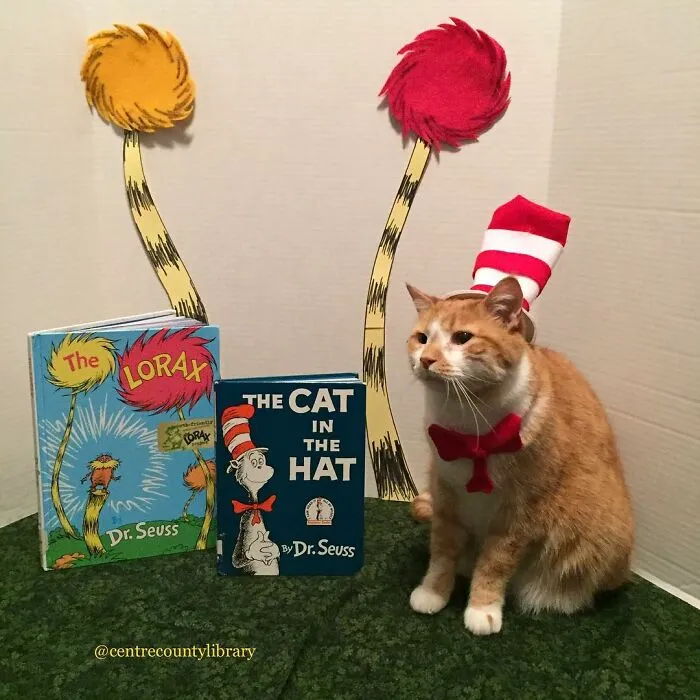This Library Attracts The Public By Dressing Up One Librarian's Cat As Literary And Movie Icons (100 Pics)