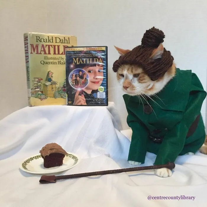 This Library Attracts The Public By Dressing Up One Librarian's Cat As Literary And Movie Icons (100 Pics)