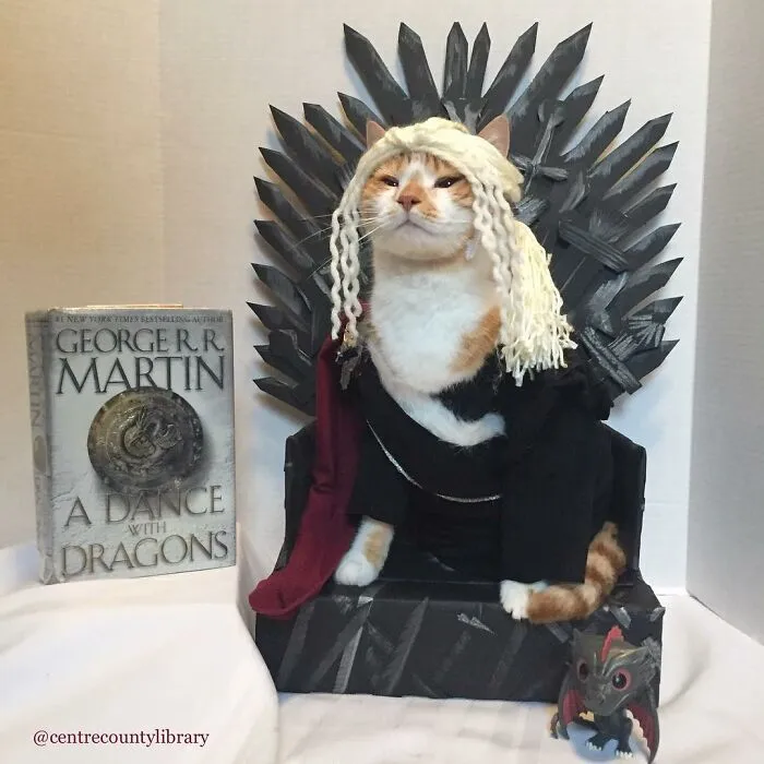 This Library Attracts The Public By Dressing Up One Librarian's Cat As Literary And Movie Icons (100 Pics)