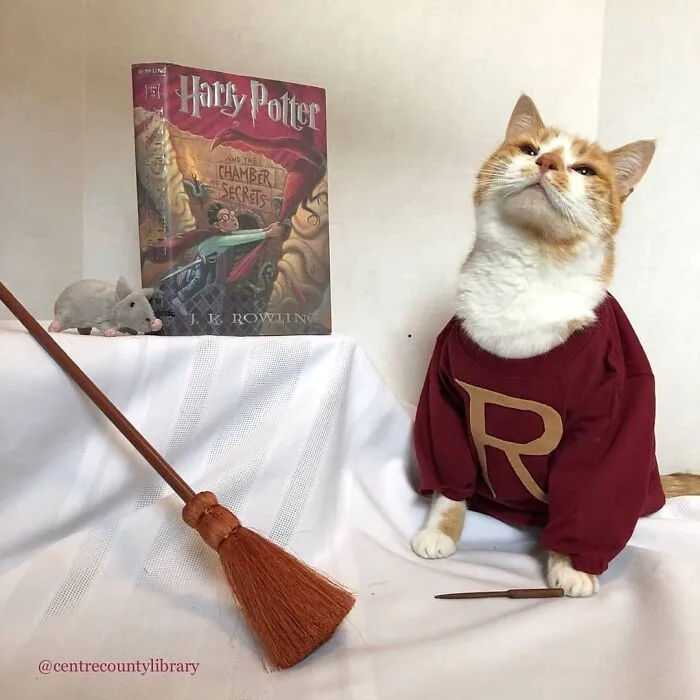 This Library Attracts The Public By Dressing Up One Librarian's Cat As Literary And Movie Icons (100 Pics)