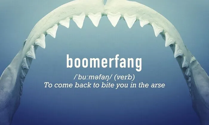 Boomerang + Fang