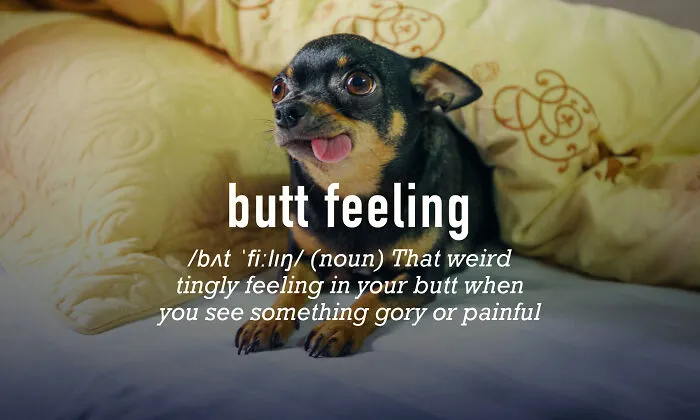 Butt + Gut Feeling