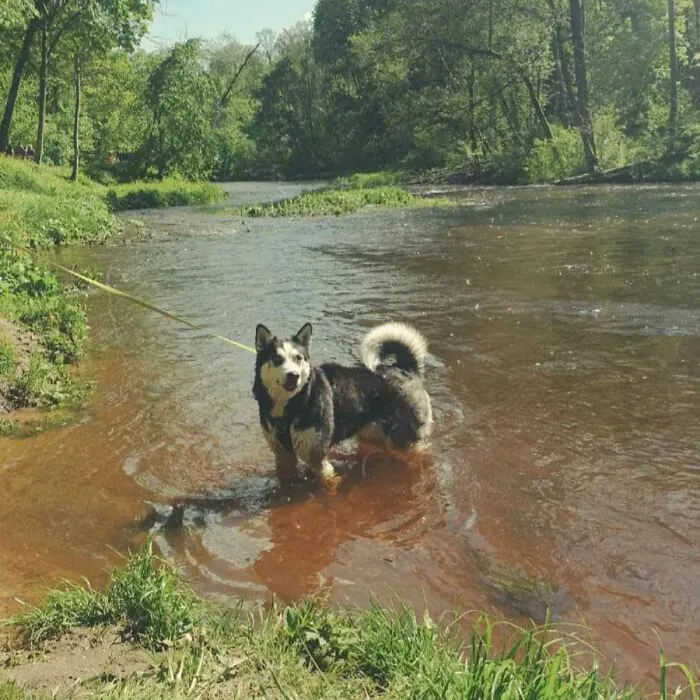 Enjoying Summer