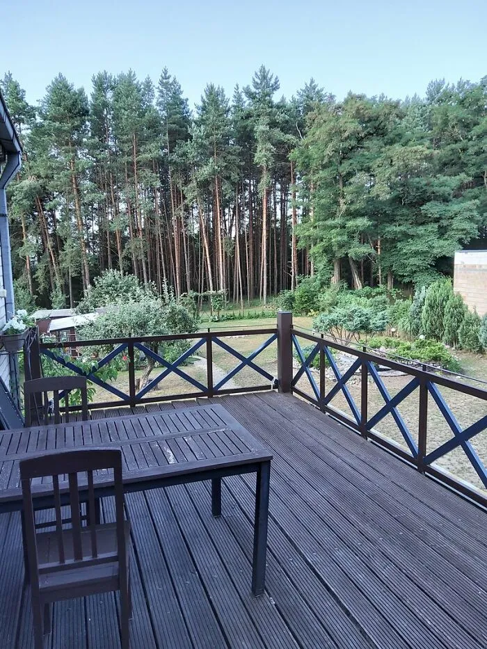 Nothing Too Crazy But I Like The View