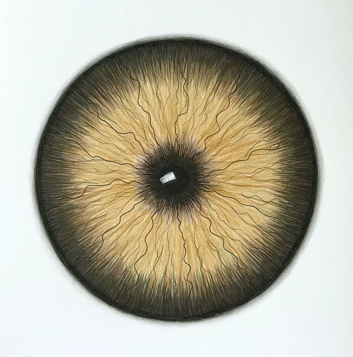 I Draw Interesting Pupils Of The Eyes, Here Are 11 Of Them