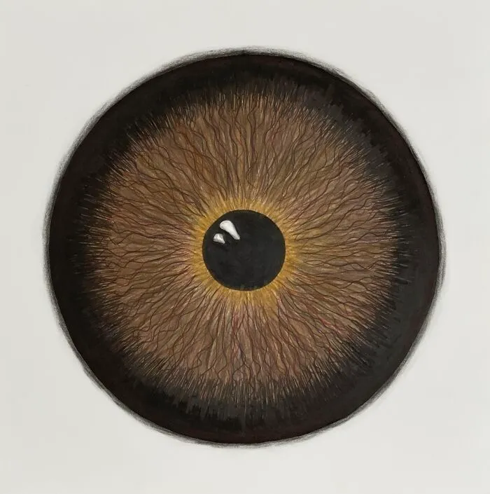 I Draw Interesting Pupils Of The Eyes, Here Are 11 Of Them