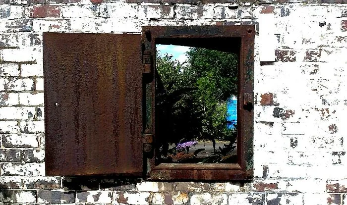 Through The Window