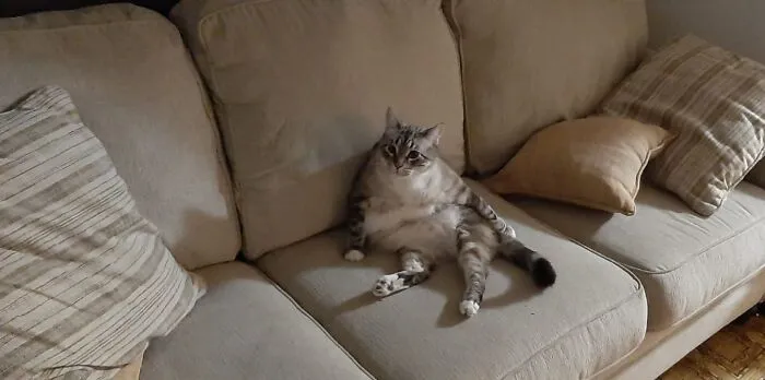 Did You Bring Me Anything?