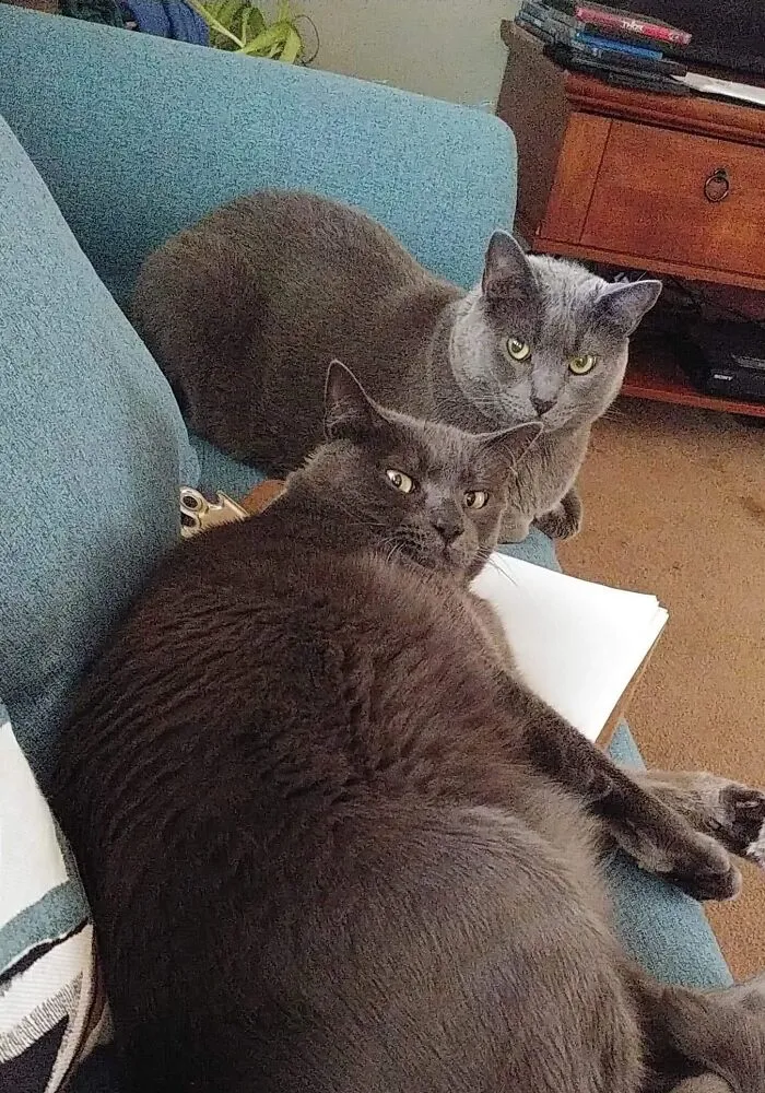 This Does Not Concern You, Lady