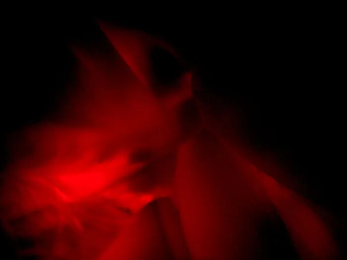 What Do You See?