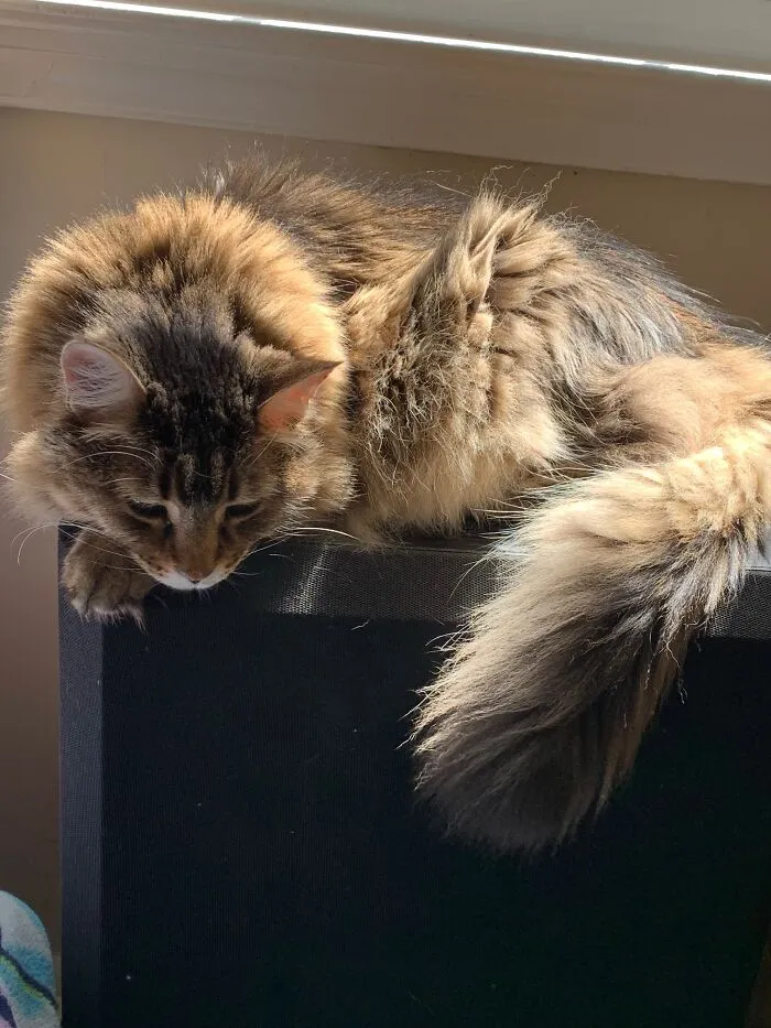 There's Something Down There!!!!