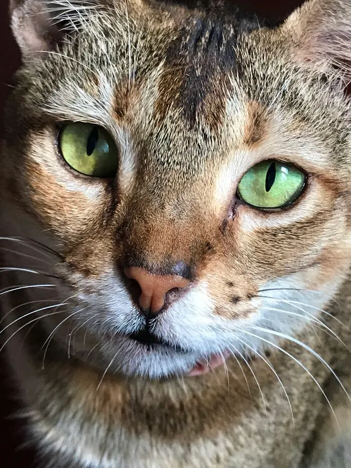 Clo And Her Green Eyes!