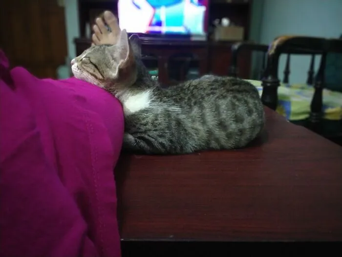 The First Time She Trusted Me Enough To Nap On Me