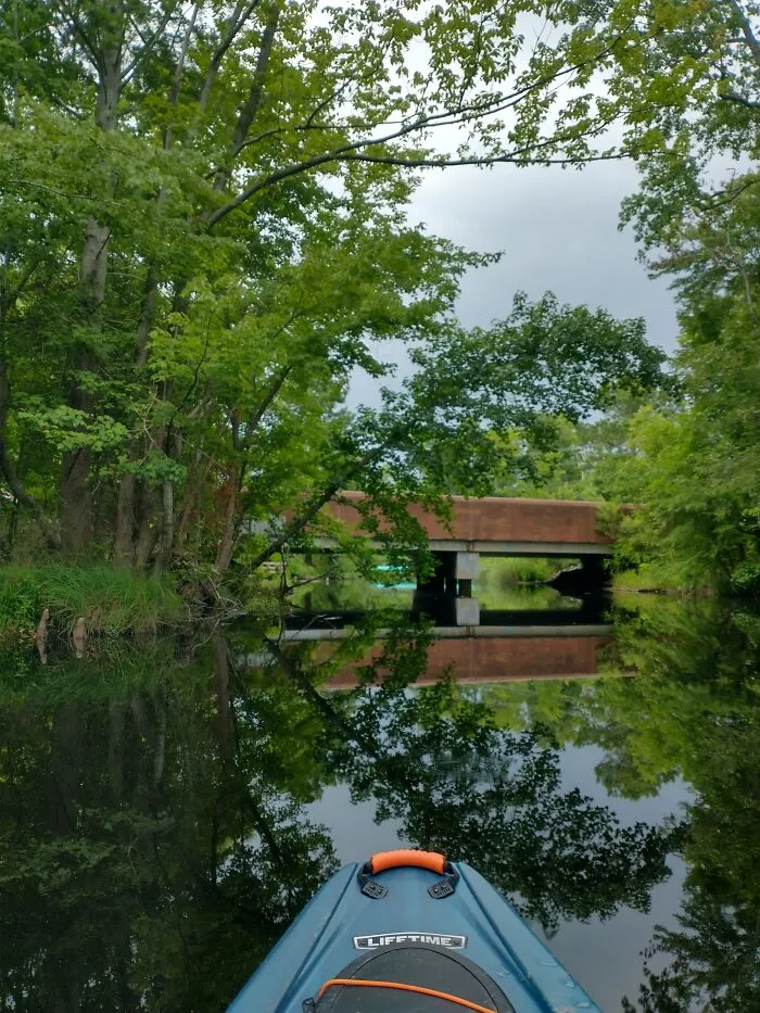 Took This While Kayaking :)